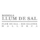 Bodega Llum de Sal S.L.
