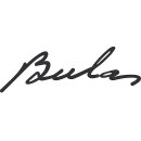 J. A. M. Bulas Cruz & M. G. M. Bulas Cruz