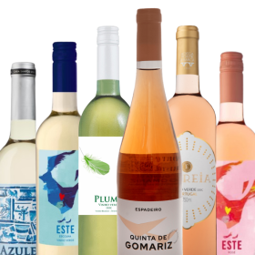 Leichte Sommerweine PROBIERPAKET
