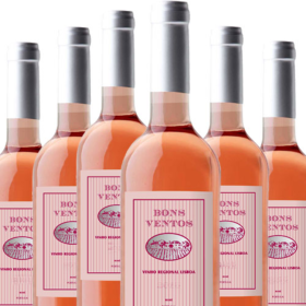 5+1 Flaschen Angebot Bons Ventos Rosé