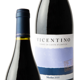 Vicentino Sunrise Merlot Red