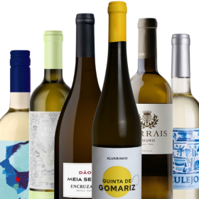 Weißweine aus Portugal PROBIERPAKET