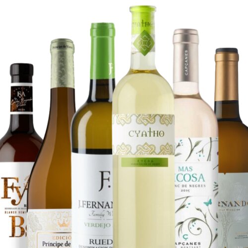 Weißweine aus Spanien PROBIERPAKET