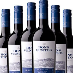 5+1 Flaschen Angebot Bons Ventos Tinto