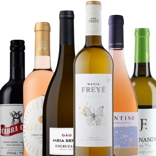 Weine zum Grillfest PROBIERPAKET